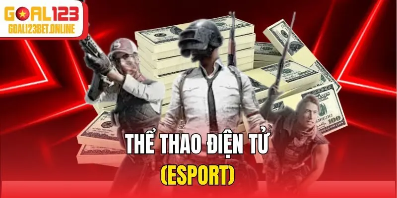 Thể thao điện tử (Esport)